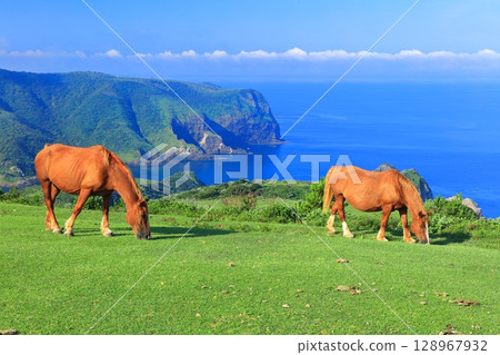 [Shimane Prefecture] Kuniga Coast as seen from Matengai Cliff (Nishinoshima, Oki Islands) 128967932