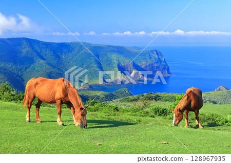 [島根縣] 從摩天崖眺望國賀海岸（隱岐諸島西之島） 128967935