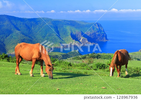 [Shimane Prefecture] Kuniga Coast as seen from Matengai Cliff (Nishinoshima, Oki Islands) 128967936