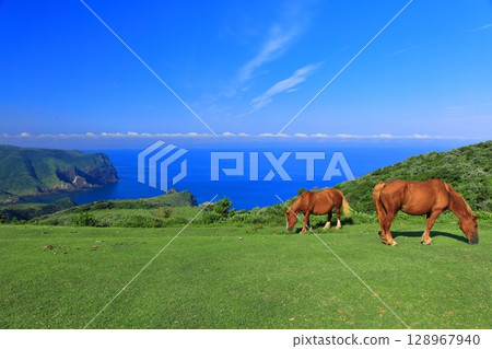 [Shimane Prefecture] Kuniga Coast as seen from Matengai Cliff (Nishinoshima, Oki Islands) 128967940