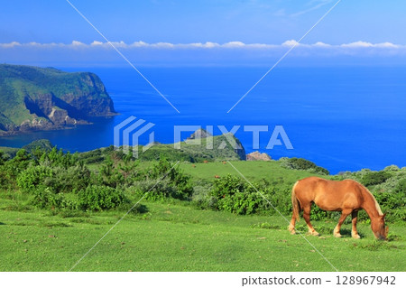 [島根縣] 從摩天崖眺望國賀海岸（隱岐諸島西之島） 128967942