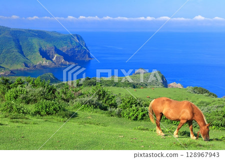 [Shimane Prefecture] Kuniga Coast as seen from Matengai Cliff (Nishinoshima, Oki Islands) 128967943