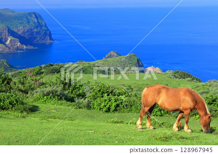 [Shimane Prefecture] Kuniga Coast as seen from Matengai Cliff (Nishinoshima, Oki Islands) 128967945