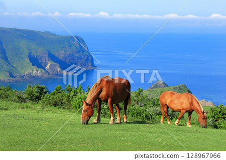 [島根縣] 從摩天崖眺望國賀海岸（隱岐諸島西之島） 128967966