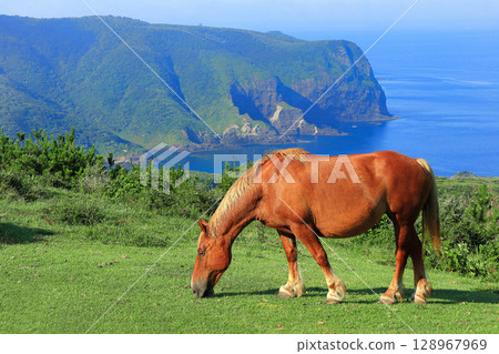 [島根縣] 從摩天崖眺望國賀海岸（隱岐諸島西之島） 128967969