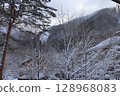 Trees covered in snow 128968083