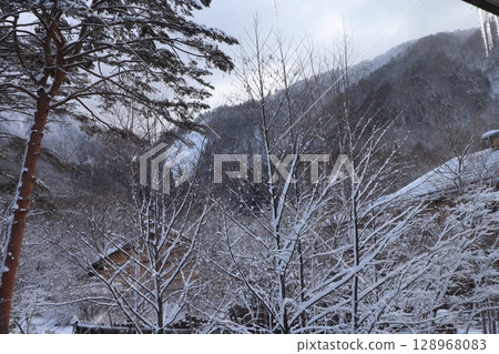 Trees covered in snow Trees covered in snow 128968083