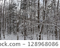 Coniferous trees with snow 128968086