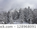 Snow-covered coniferous forest 128968091