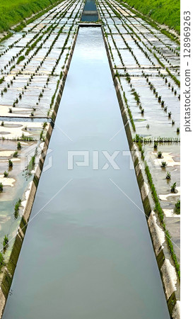 Outdoor catchwater , aqueduct construction, green grass, trees in Hong Kong Outdoor catchwater , aqueduct construction, green grass, trees in Hong Kong 128969263