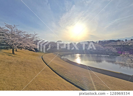 Japan outdoor park with lake, cherry blossom trees and sakura flowers 128969334