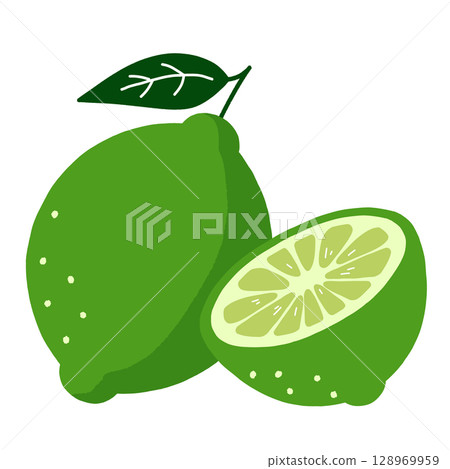 Hand drawn illustration of lime with leaves and slices Hand drawn illustration of lime with leaves and slices 128969959