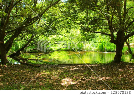 Satoyama landscape with a pond Satoyama landscape with a pond 128970128