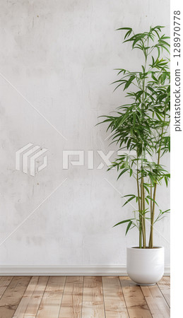 Close-up shot of a clean white wall with a potted bamboo plant Close-up shot of a clean white wall with a potted bamboo plant 128970778
