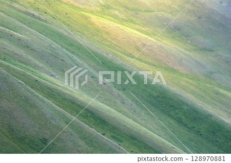 Green hills in high mountains, covered with grass Green hills in high mountains, covered with grass 128970881