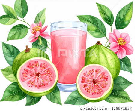 Guava Juice in Clear Glass with Green Fruits and Pink Flowers Illustration 128971937