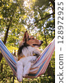 Hammock and dog 128972925