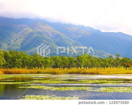 Shiretoko湖秋葉 Shiretoko湖秋葉 128973080
