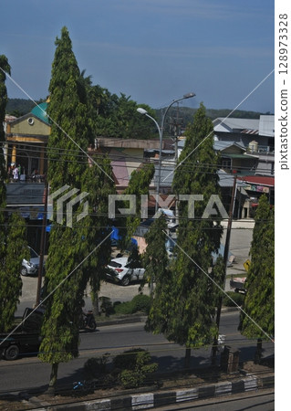city streets and green trees and vehicles 128973328