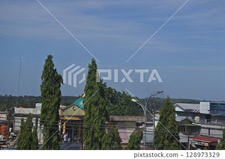 city streets and green trees and vehicles 128973329