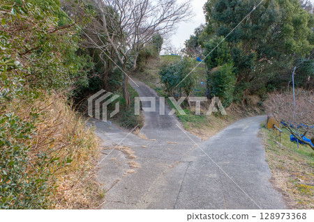 Scenery of a mountain road at a fork in the road Scenery of a mountain road at a fork in the road 128973368
