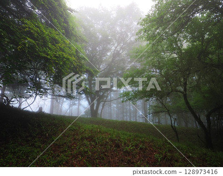 Mount Fenghuang 128973416