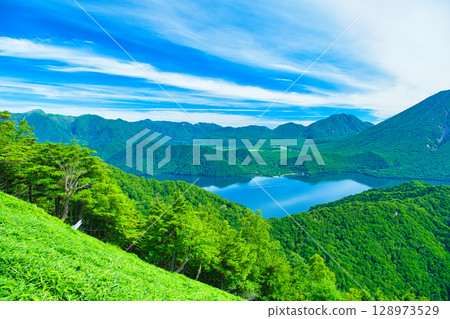 Nikko City, Tochigi Prefecture: Lake Chuzenji and Senjogahara in Oku-Nikko as summer approaches 128973529