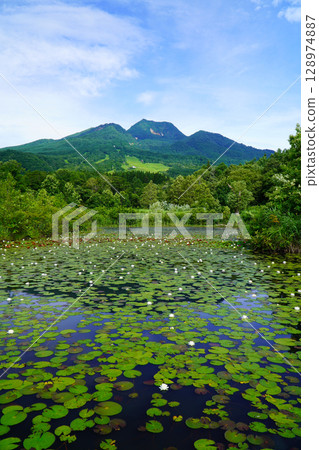 夏季從井盛池眺望妙高山 夏季從井盛池眺望妙高山 128974887