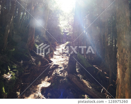 Mount Hikari and Mount Sei Mount Hikari and Mount Sei 128975260