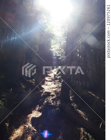 Mount Hikari and Mount Sei 128975261