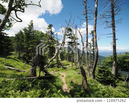 Mount Hikari and Mount Sei 128975262