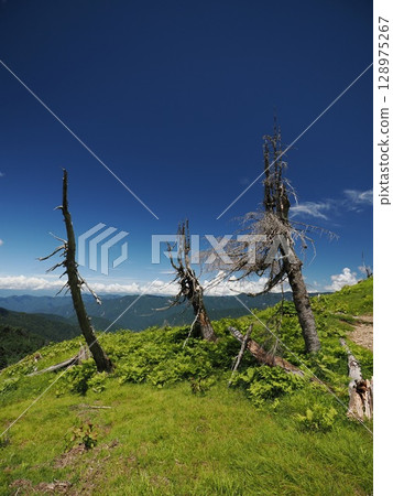Mount Hikari and Mount Sei 128975267