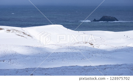 Snowy landscape of Tottori Sand Dunes 128975702