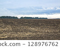 Harvested sunflower field under a moody sky, with dry stalks scattered across dark soil . 128976762