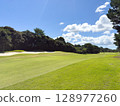 Golf course 128977260