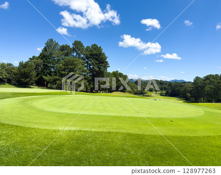 Golf course 128977263