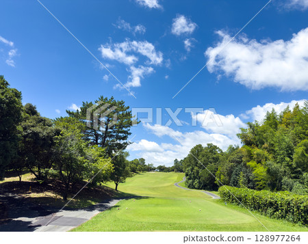 Golf course Golf course 128977264