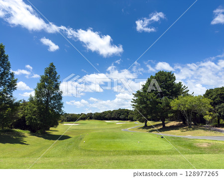 Golf course 128977265