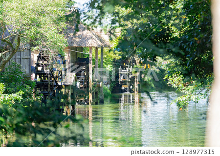 <Azumino> Spectacular view of the waterwheel and beautiful stream at Daio Wasabi Farm 128977315
