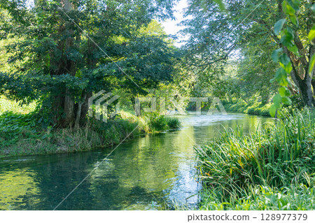 <Azumino> Spectacular view of the waterwheel and beautiful stream at Daio Wasabi Farm <Azumino> Spectacular view of the waterwheel and beautiful stream at Daio Wasabi Farm 128977379