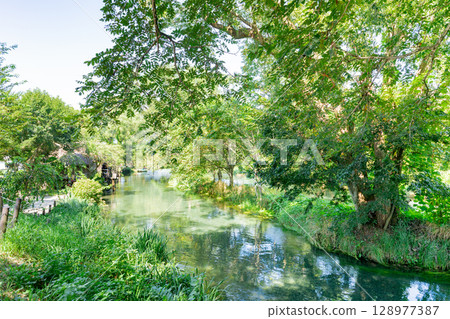 <安曇野>大王山葵農場的水車和美麗溪流的壯麗景色 128977387