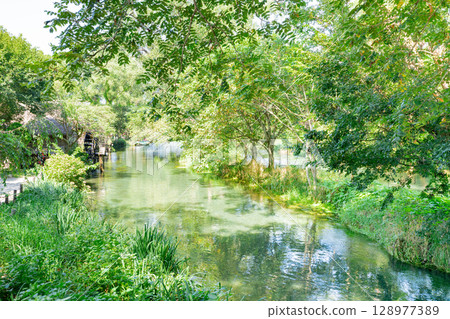 <安曇野>大王山葵農場的水車和美麗溪流的壯麗景色 128977389