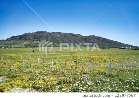 A cyclist travels across a meadow in Ireland, with mountains in the distance under a clear blue sky. A cyclist travels across a meadow in Ireland, with mountains in the distance under a clear blue sky. 128977567