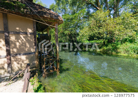 <Azumino> Spectacular view of the waterwheel and beautiful stream at Daio Wasabi Farm <Azumino> Spectacular view of the waterwheel and beautiful stream at Daio Wasabi Farm 128977575