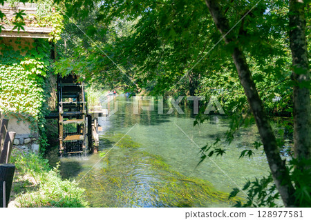 <Azumino> Spectacular view of the waterwheel and beautiful stream at Daio Wasabi Farm 128977581