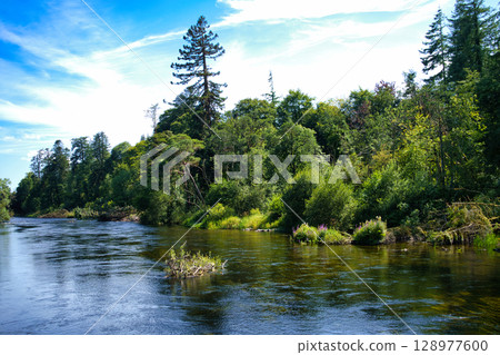A serene river winds through lush green trees under a bright blue sky in Ireland. 128977600