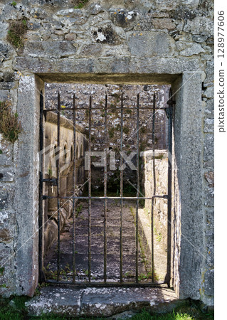 An ancient stone archway frames a weathered metal gate, leading to a historic site in Ireland. 128977606