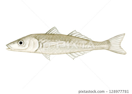 Sea fishing Fishing Fish Kiss Watercolor Illustration 128977781