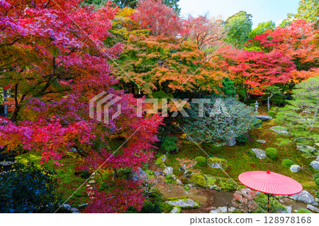 Bright red autumn leaves at Kyu-Chikurin-in Temple 128978168