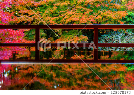 Autumn leaves reflected in the Kyu-Chikurin-in Temple 128978173